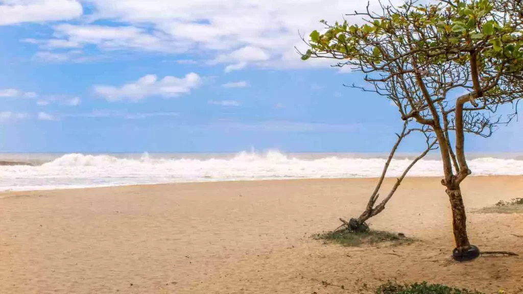 pontos-turisticos-de-itajai